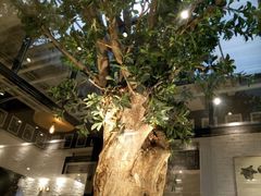 -大树餐厅(红旗街万达店)