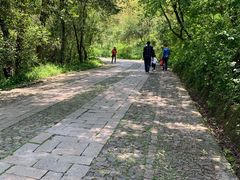 -紫金山山顶公园