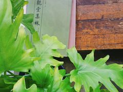 -仙峰天然面包(迎宾路店)
