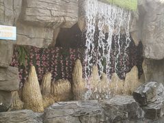 -自然谷恐龙园