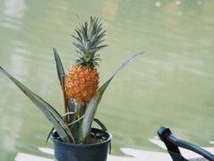 -南浔古镇