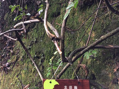 -崀山风景名胜区