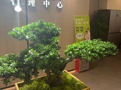 -通透堂中医·精准推拿(旗舰店)
