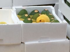 青芒-鲜力达果品批发直销(无锡保利香槟店)