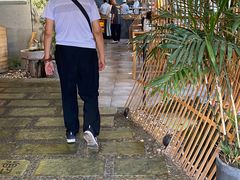 -尚香汤包文博馆(合兴路店)