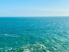 -广东惠东海龟国家级自然保护区