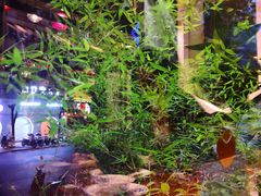 -福照楼汽锅鸡·云南菜(护国路店)