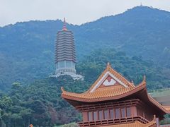 -深圳仙湖植物园