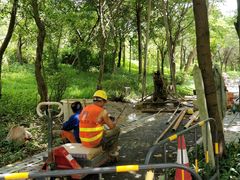 -留仙洞(地铁站)