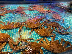 -驻海渔市(置信店)