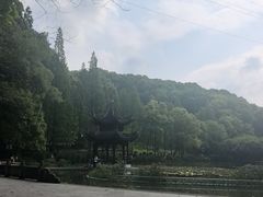 -忠山公园