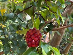 -宁波五龙潭景区