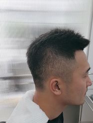 -世田造型