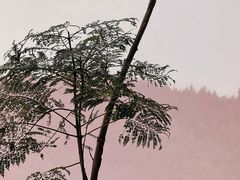 -咏江南·苏式火锅·苏州评弹(观前街店)