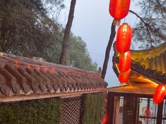 -巴倒烫陆派火锅山庄(南山总店)