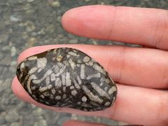 -西岭雪山大飞水景区