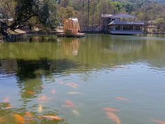 -广州市白云山风景名胜区