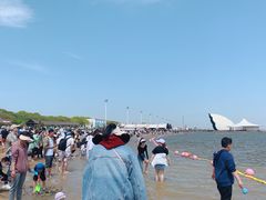 -碧海金沙