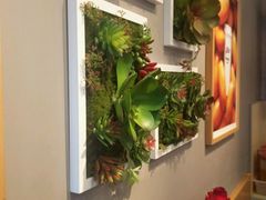 -卡旺卡(芜湖步行街一店)