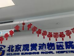 -北京观赏动物医院·24小时大型综合·猫专科·异宠专科