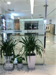 -罗亚帝造型·烫发染发