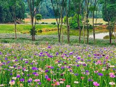 -仙海旅游度假区