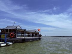 -焦岗湖旅游度假区