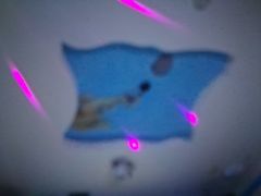 -尚橙歌坊主题式KTV(恒大商业广场店)