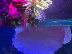 -沈阳海洋探索中心