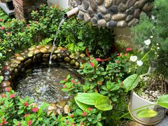 -茶米人台湾料理·精致快简餐