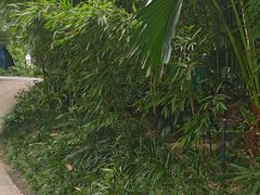 -成都市活水公园