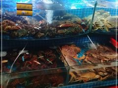 水产区-望海潮海鲜店 特色家常菜(在海一方店)