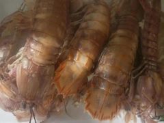 -宾朋海鲜特色美食餐厅·纯手工鲅鱼水饺(兴海路店)