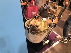 -香港会议展览中心演讲厅