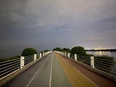 -贡湖湾湿地公园