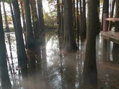 -东湖落雁景区