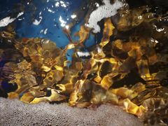 -蟹之国·精品蟹料理(极地店)