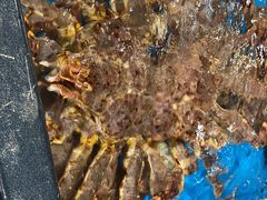 -盒马鲜生(曜一城店)