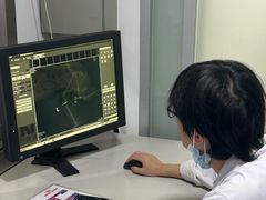 -申普宠物医院·心脏介入·心血管微创(总院)