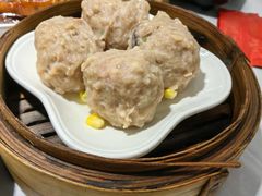 猪肉丸-嘉缤苑