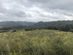 -御道口草原森林风景区