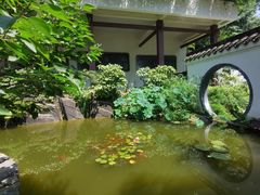 -南山植物园