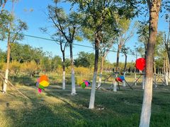 -天津东丽湖风景区