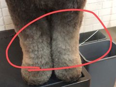 -PETKIT小佩宠物(古北店)