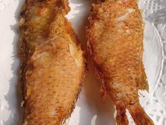 炸马头鱼-潮人姐妹轩(海宁路店)