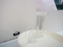-BLACKSWAN黑天鹅(环球店)