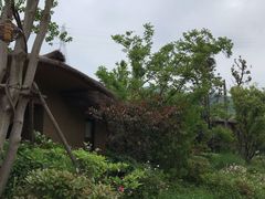 -杭州开元森泊度假乐园