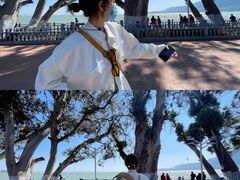 -滇池海埂公园