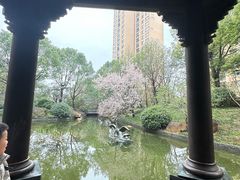 -上海闵行星河湾酒店