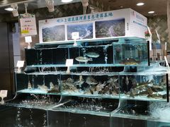 -王府井百货(总府店)